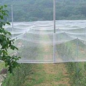 대형 한랭사 논밭 과수원 해충방지 한냉사 방충망 2.5Mx20M, 2Mx20M, 1개