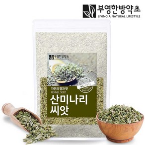 부영한방약초 산미나리씨앗 (회향) 500g 펜넬차, 1개, 1개입