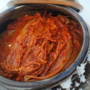 숙성 해남겨울묵은지 해주네 반찬 김치(김해주), 1개, 5kg