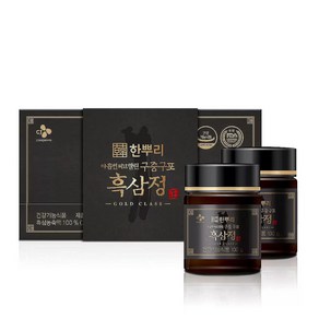 CJ한뿌리 흑삼정 골드클래스 100g 2병 선물세트 +쇼핑백, 2개