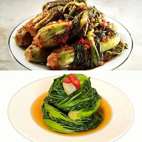 기타 [3대째 손맛] 여수돌산갓김치1kg+갓물김치1kg, 1개
