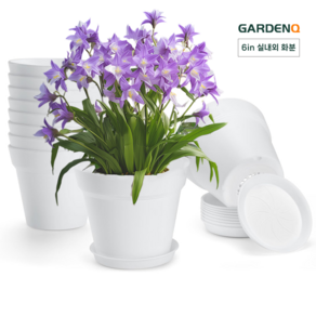 GARDENQ 패션 국제 화분 크리스마스 화분 다육이화분 10cm 16p 작은 미니 화분/15.5cm 10p 중형 화분+ 트레이 관엽 관엽식물 다육이 선인장 크리스마스 선물