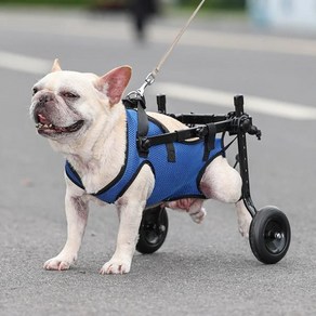 장애용 개 휠체어 뒷다리 브래킷 고양이 개 부상 및 약한 재활 보조 자동차 조절 가능한 애완 동물 산책 부스터