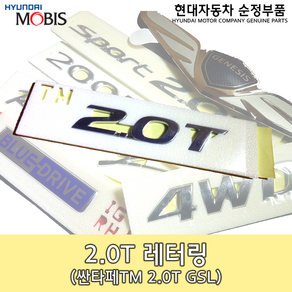 2.0T 레터링/싼타페TM 엠블렘/86312S1020/싼타페TM 터보 엠블렘/싼타페 휘발유 엠블렘/신형 싼타페 엠블렘/싼타페 레터링 로고/86312 S1020