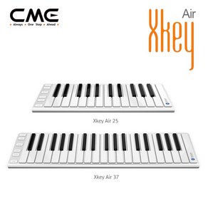 CME XKey Ai, XKey Ai37, 1개