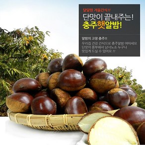 [신선한아침] 오독오독 달콤한 충주밤 (대사이즈), 1개, 2kg