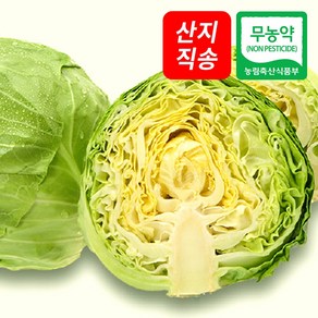 (자연마을) 국산 무농약 양배추 1kg 3kg, 1박스, 무농약 양배추 2-4통 총 3kg