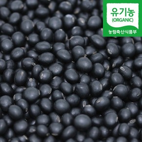 직송 국산 유기농 약콩 쥐눈이콩 친환경, 1개, 1kg