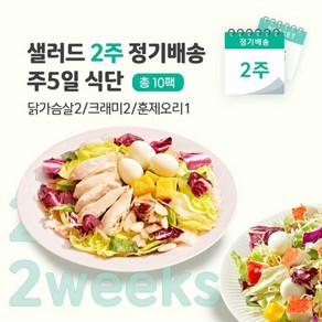 샐러드 2주 정기배송 주5일 (닭가슴살2+크래미2+훈제오리1)