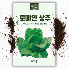 씨앗팜 로메인상추 씨앗 (1500립)채소씨앗 쌈채소, 1개