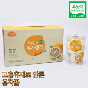 초록사랑 무농약 유자로만든 고흥 유자즙, 120ml, 1개