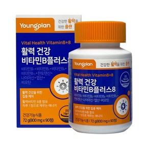 영진약품 영플랜 활력건강 비타민B 플러스8 800mg X 90정, 1개