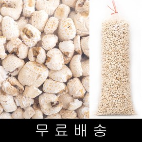 코리아푸드 백옥콘 강냉이 1.4kg box포장, 1개