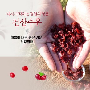 지리산 구례 건산수유 500g, 1개