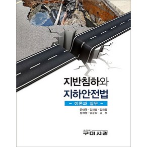 지반침하와 지하안전법:이론과 실무, 구미서관