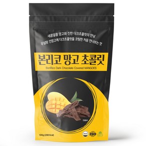 본리코 망고 다크 초콜릿, 100g, 1개