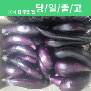 국내산 햇 가지 한박스 못난이 가정용 [신흥유통][무료배송], 가지 1kg, 1개