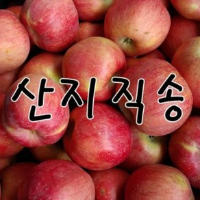 [2024년햇사과]] 청송사과 부사 실속 쥬스용 10kg, 1개, 01.갈아먹는 흠집사과 10kg 쥬스용-소과