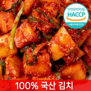 [전라도찐맛] 당일제조 깍두기김치, 1개, 5kg