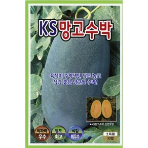 KS망고수박 당고높고 식감좋은망고형 수박씨앗 10립, 1개