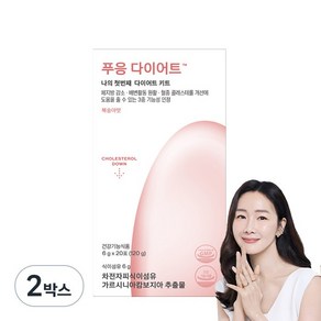 푸응 다이어트 차전차피 가르시니아, 120g, 2박스