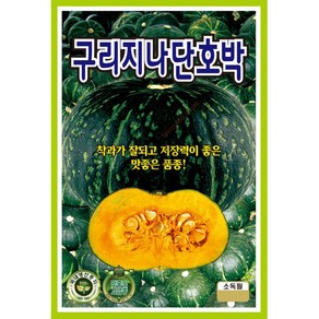 구리지나단호박 10립 25년 단호박씨앗