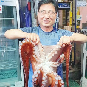 백두대간농수산 경북 영주 자숙 통 문어 1 2 3 kg 동해 참문어 선물용 제수용 안주짝다리, 1kg(안주용), 1개