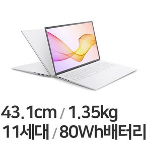 LG 2021 그램 17, 화이트, 256GB, 8GB, WIN10 Home, 17zd90p-gx70k