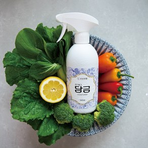 씻지말고 담금 스프레이 과일 야채 세정제 잔류농약제거, 1개, 500ml