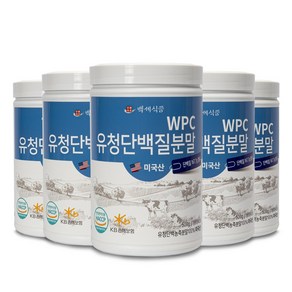 WPC 유청단백질 분말 500g 통 미국산100% HACCP 인증제품, 5개