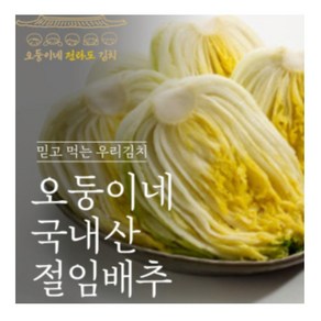 오둥이네 전라도 해남 절임배추 1kg 2kg 3kg 5kg 10kg 20kg, 중량, 1박스, 주문즉시 제조