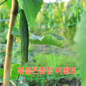 [묶음끈증정]오이망 그물 고추망 호박망 덩쿨망 가지 유인망 버자웨어 농사용 덩쿨망 가지 유인망 호박망그물 오이유인그물망