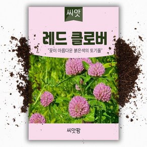 레드 클로버씨앗 20g 토끼풀 씨