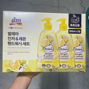 DM 발레아 진저 앤 레몬 핸드워시 세트, 500ml, 3개