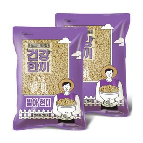 건강한끼 영양만점 발아현미 2kg (1kg+1kg) 24년산, 2개, ONE COLOR