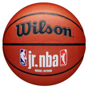 윌슨 JR NBA AUTHENTIC INDOOR / OUTDOOR 농구공 WZ2009801XB5, 2개