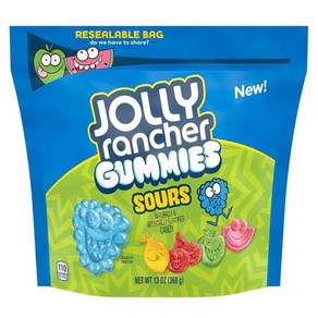 JOLLY RANCHER Gummies 다양한 과일 맛 캔디 백 368.5g(13온스), 13 oz (Pack of 1) 440840, 1개