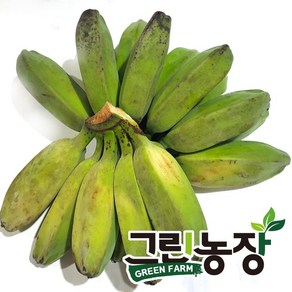 그린 사바 바나나(geen saba banana) 그린농장, 10kg, 1개