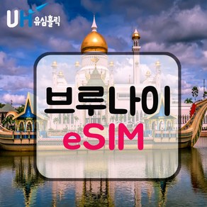 eSIM 브루나이 유심 브루나이 이심 8일 6GB 데이터 무제한 핫스팟 e심 아시아통합유심, 8일 6GB 소진후 저속무제한(128Kbps), 1개