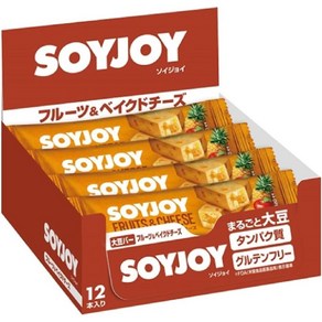 SOYJOY 소이조이 단백질바 과일 구운 치즈 맛 30g 24개