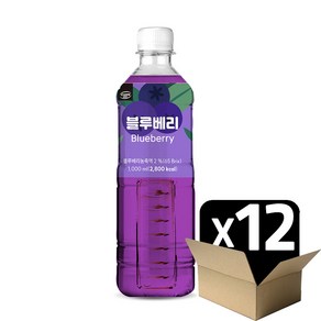 대호 블루베리 액상 카르페데이 1000ml 12개입, 1L, 12개