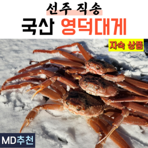 국산 프리미엄 영덕대게 자숙 대게 구룡포 게 대개 3마리 5마리 제철, 1박스, 특대 10.5~11cm 3마리