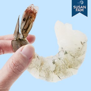 생 칵테일새우 1kg(실중량900g) 생새우살 냉동, 41-50 인도 중국 베트남, 1개