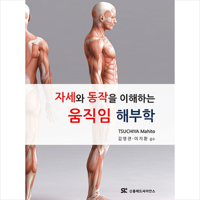 자세와 동작을 이해하는 움직임 해부학