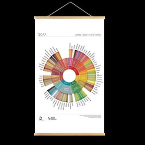 커피 플레이버 휠 일러스트 카페 장식 포스터 벽걸이 향미표 차트, 영문