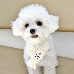 이지유 붕어빵 목도리 강아지 고양이 머플러, 1개, 아이보리