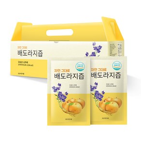 자연식품 자연그대로 배도라지즙, 100ml