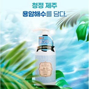 원파인데이 제주 용암해수 샴푸 500ml / 미네랄풍부 모발영양 청량감UP, 1개