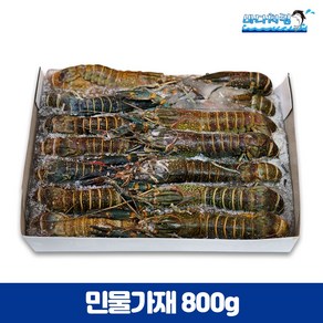 민물가재 800g 25마리내외 마라롱샤 인도네시아 크레이피쉬