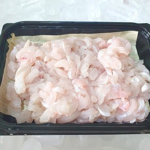 통영 아나고 붕장어 회 당일손질, 350g, 1개